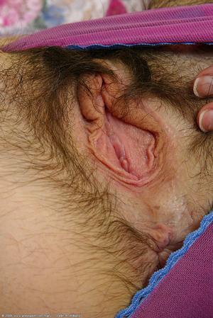 Original 684 px/ 1024 px