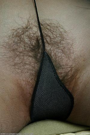 Original 684 px/ 1024 px