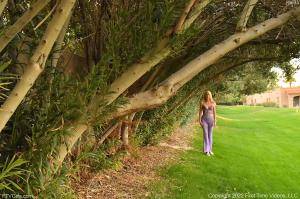 Original 4928 px/ 3280 px