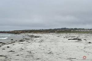 Original 3000 px/ 2000 px