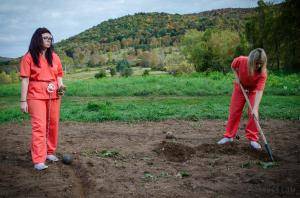 Original 1200 px/ 795 px