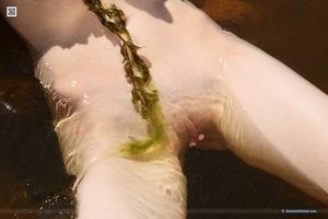 Original 5616 px/ 3744 px