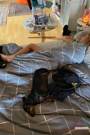 Original 2000 px/ 3000 px