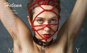 #MoreyStudio Helena - Set C5N