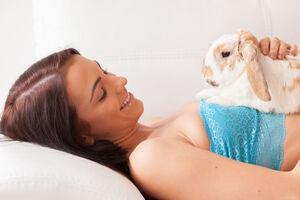 Original 5616 px/ 3744 px