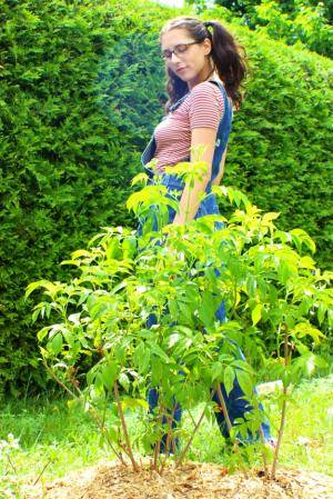 Original 575 px/ 862 px