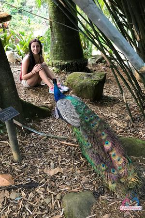 Original 2000 px/ 3000 px