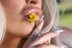 Original 2495 px/ 1663 px