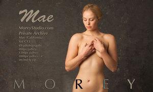 Original 2473 px/ 1502 px