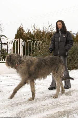 Original 1024 px/ 1536 px