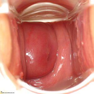 Original 1600 px/ 1600 px