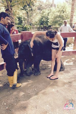 Original 2000 px/ 3000 px