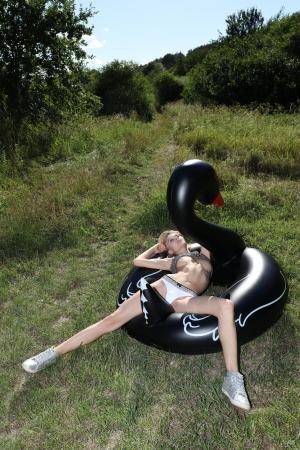 Original 1333 px/ 2000 px