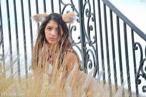 Original 1280 px/ 852 px