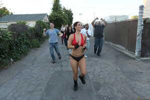 Original 2495 px/ 1663 px