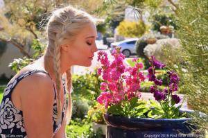 Original 1280 px/ 852 px