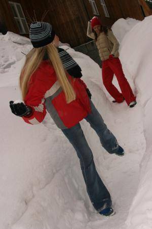 Original 793 px/ 1190 px