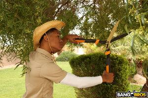 Original 2000 px/ 1333 px