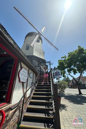 Original 2000 px/ 3000 px