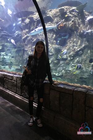 Original 2000 px/ 3000 px