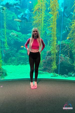 Original 2000 px/ 3000 px