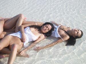 Original 1280 px/ 962 px