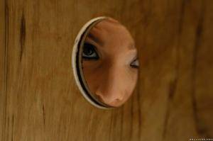 Original 2495 px/ 1663 px