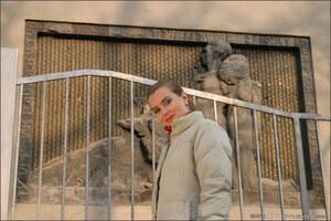 Original 1200 px/ 800 px