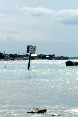 Original 762 px/ 1145 px