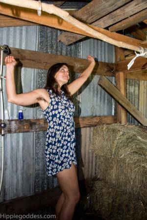 Original 1469 px/ 2200 px