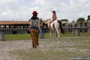 Original 800 px/ 533 px