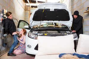 Original 2495 px/ 1663 px