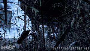 Original 1200 px/ 675 px