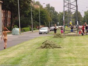 Original 1024 px/ 768 px