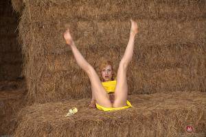 Original 3000 px/ 2000 px