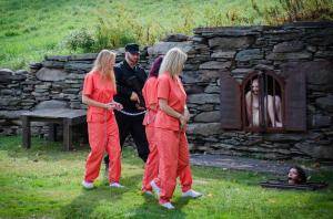 Original 1200 px/ 795 px