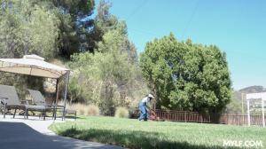 Original 1620 px/ 911 px