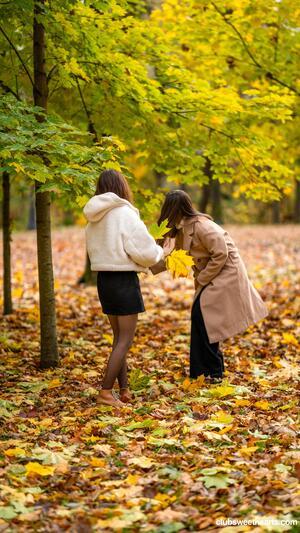 Original 3376 px/ 6000 px