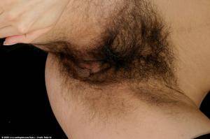 Original 1024 px/ 682 px