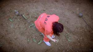 Original 1200 px/ 675 px