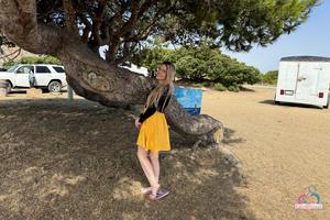 Original 3000 px/ 2000 px