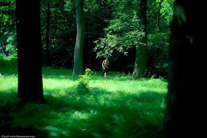 Original 1647 px/ 1098 px