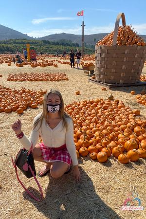 Original 2000 px/ 3000 px