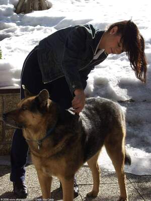 Original 1200 px/ 1600 px