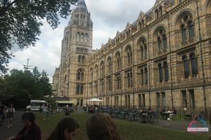 Original 3000 px/ 2000 px