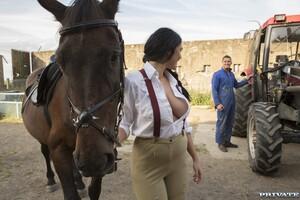 Original 1600 px/ 1067 px