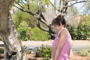 Original 1536 px/ 1020 px