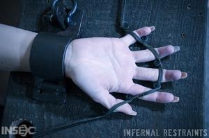 Original 1200 px/ 795 px