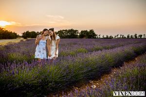 Original 3000 px/ 2000 px