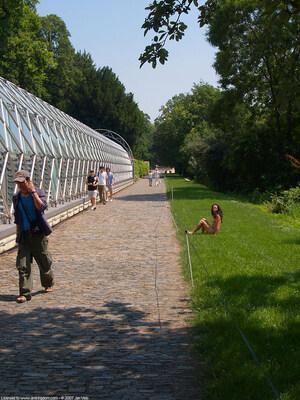 Original 960 px/ 1280 px